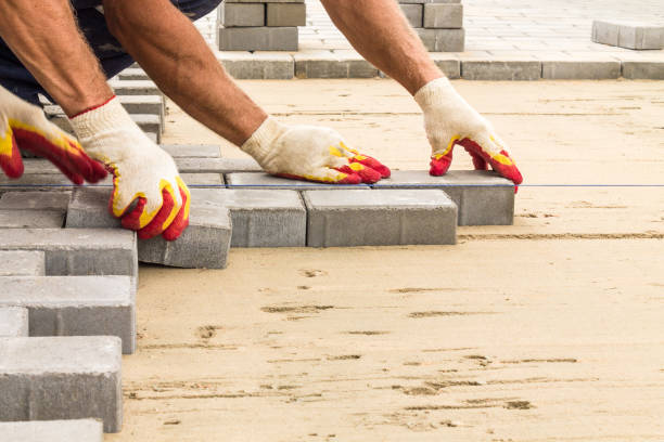 Best Custom Driveway Pavers  in Oldsmar, FL