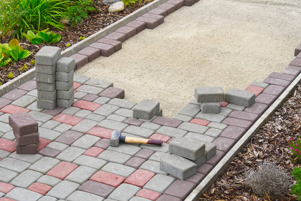 Best Decorative Driveway Pavers  in Oldsmar, FL