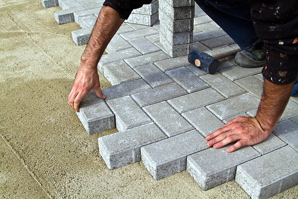 Best Affordable Driveway Paving  in Oldsmar, FL